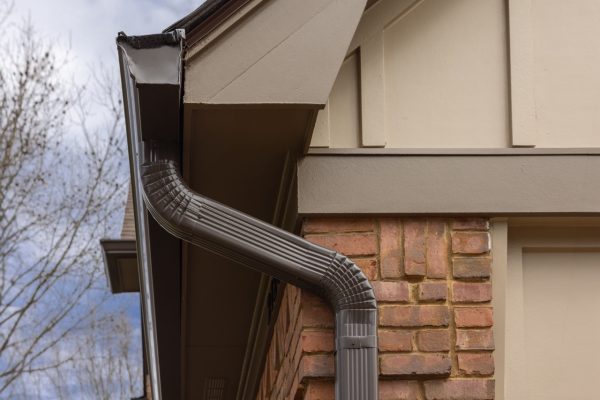 Memphis home with tan siding, black windows, door and gutters